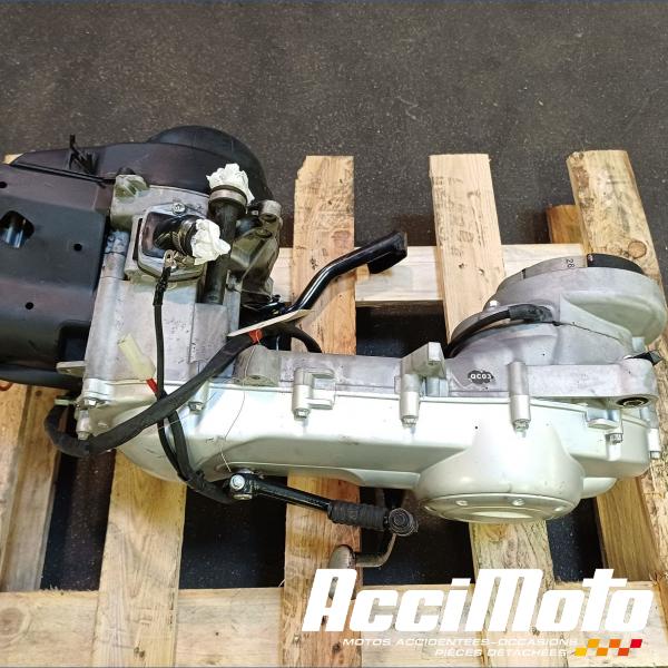 Part Motor bike Moteur PIAGGIO TYPHOON 50