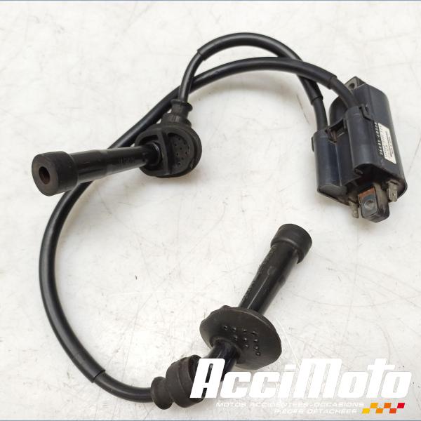 Part Motor bike Bobine d'allumage (1/4) SUZUKI BANDIT GSF600S