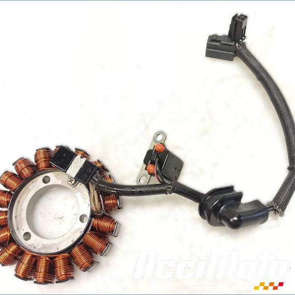 Pièce Moto Stator d'alternateur SUZUKI BANDIT GSF650N