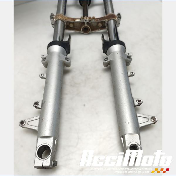 Part Motor bike Fourche complète SUZUKI BANDIT GSF650N