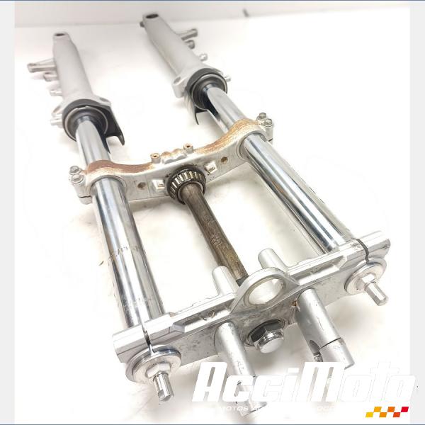Part Motor bike Fourche complète SUZUKI BANDIT GSF650N