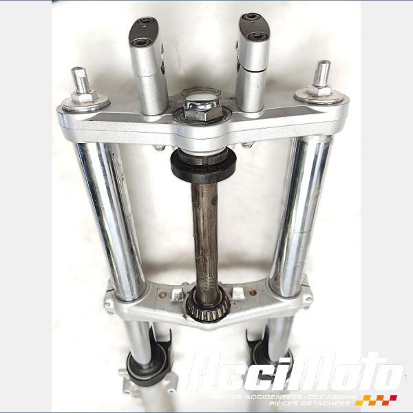 Part Motor bike Fourche complète SUZUKI BANDIT GSF650N