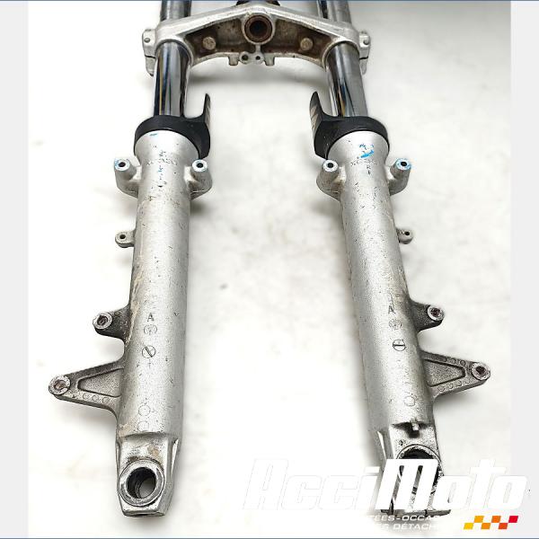 Part Motor bike Fourche complète SUZUKI BANDIT GSF650N