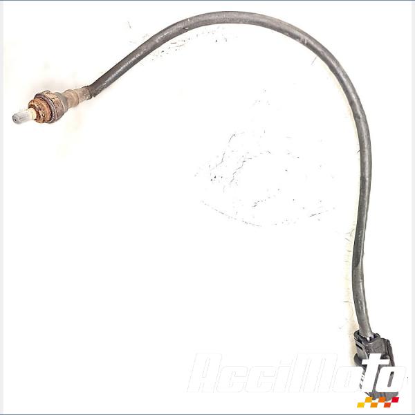 Part Motor bike Sonde lambda HARLEY DAVIDSON SPORTSTER XL1200CX ROADSTER
