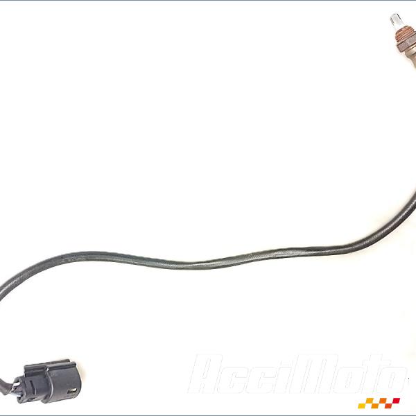 Part Motor bike Sonde lambda HARLEY DAVIDSON SPORTSTER XL1200CX ROADSTER