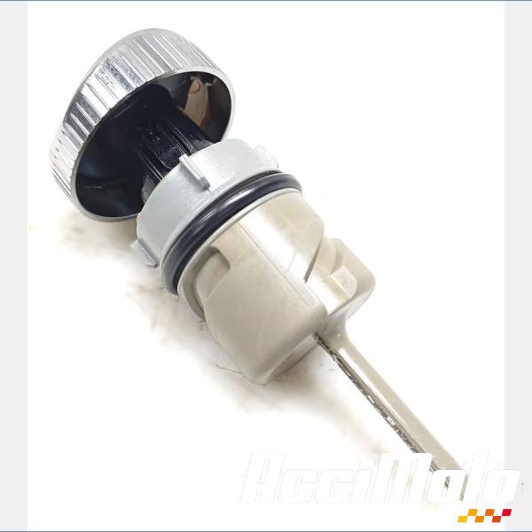 Part Motor bike Jauge à huile HARLEY DAVIDSON SPORTSTER XL1200CX ROADSTER