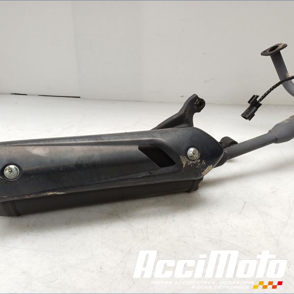 Pièce Moto Ligne d'échappement complète MASH LEGEND R50