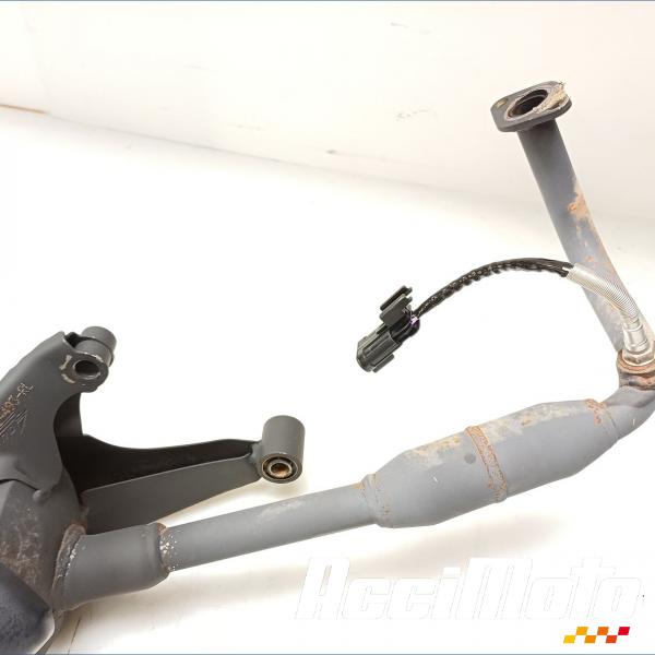 Pièce Moto Ligne d'échappement complète MASH LEGEND R50