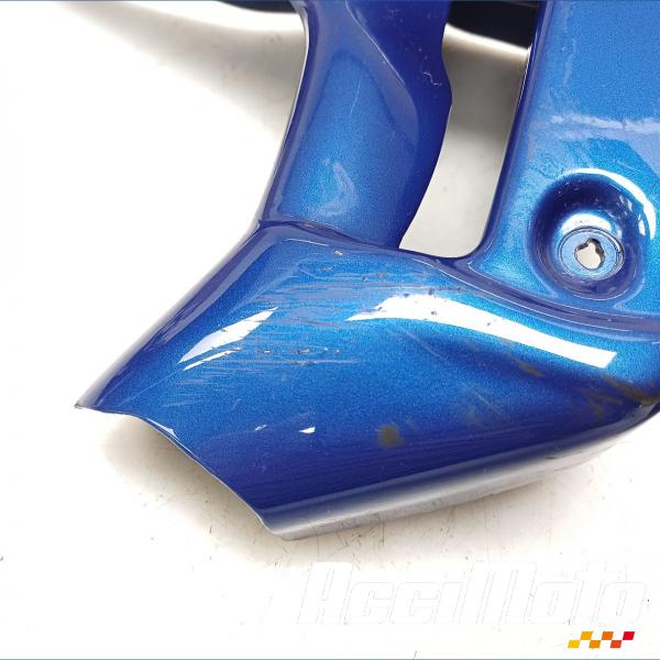Part Motor bike écope de radiateur (la paire) HONDA HORNET CB900F