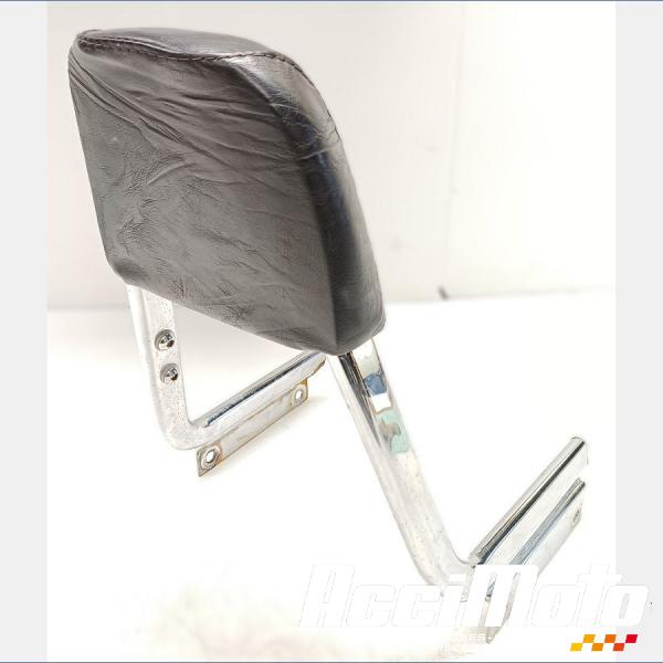 Pièce Moto Sissy bar DAELIM DAYSTAR VL125