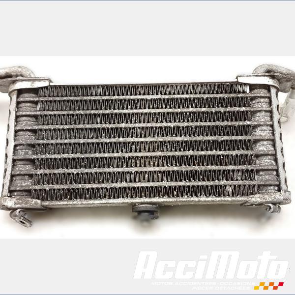 Pièce Moto Radiateur d'huile BMW S1000 XR