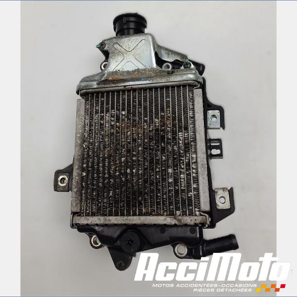 Pièce Moto Radiateur de refroidissement HONDA FORZA NSS125