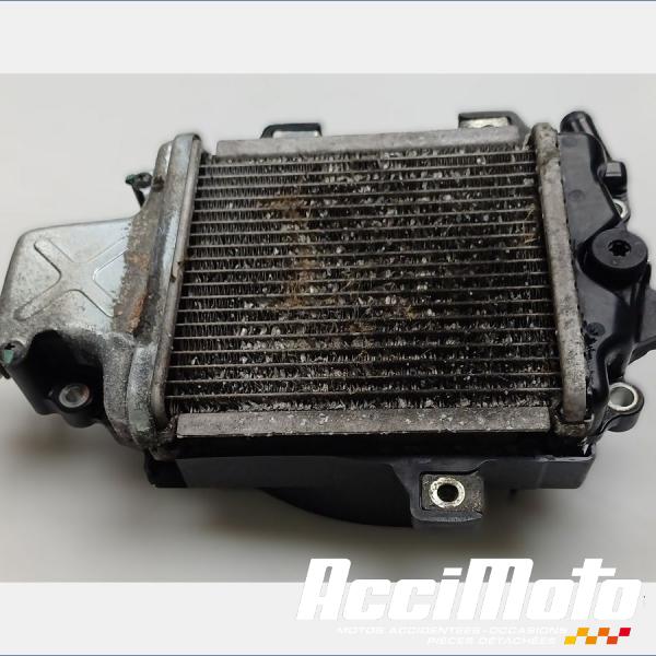 Pièce Moto Radiateur de refroidissement HONDA FORZA NSS125