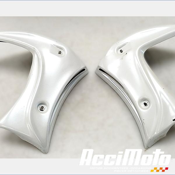 Part Motor bike écope de radiateur (la paire) YAMAHA FZ8 N