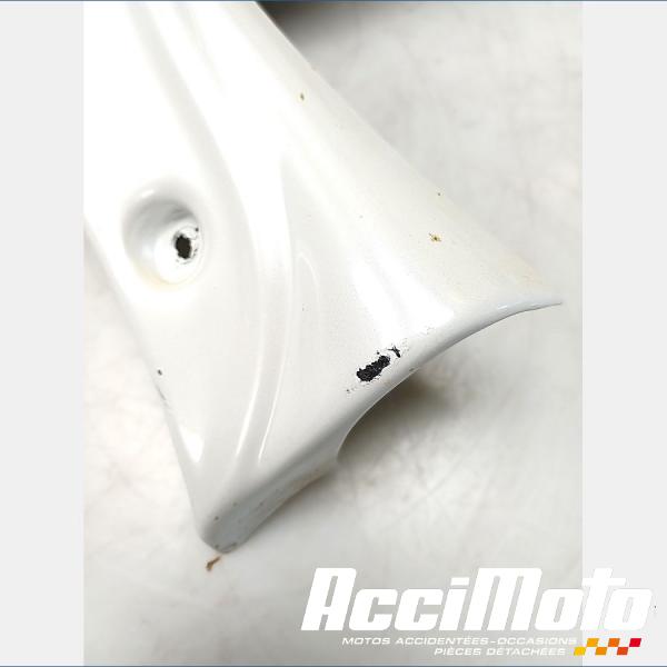 Part Motor bike écope de radiateur (la paire) YAMAHA FZ8 N