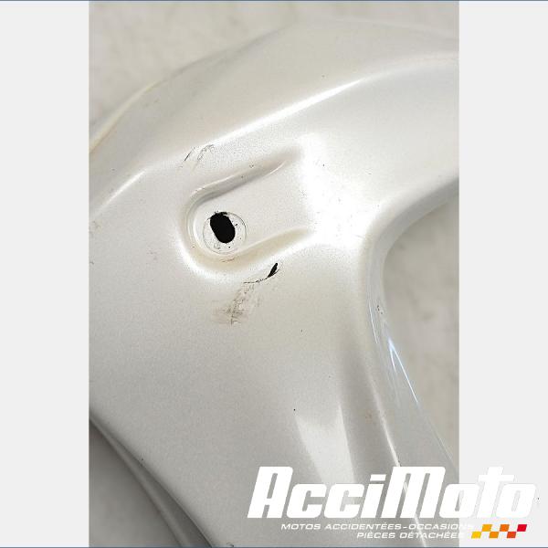 Part Motor bike écope de radiateur (la paire) YAMAHA FZ8 N