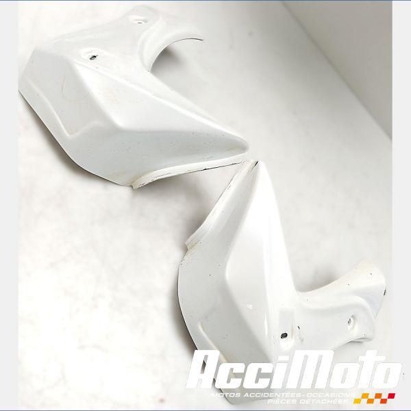 Part Motor bike écope de radiateur (la paire) YAMAHA FZ8 N