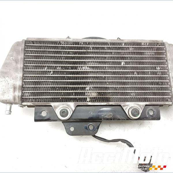 Pièce Moto Radiateur de refroidissement PIAGGIO MP3 300 YOURBAN HPE