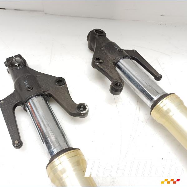 Pièce Moto Fourche complète TRIUMPH STREET TRIPLE 675