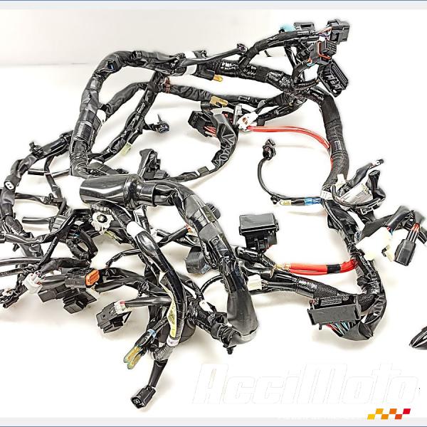 Pièce Moto Faisceau électrique (principal) YAMAHA TMAX XP560