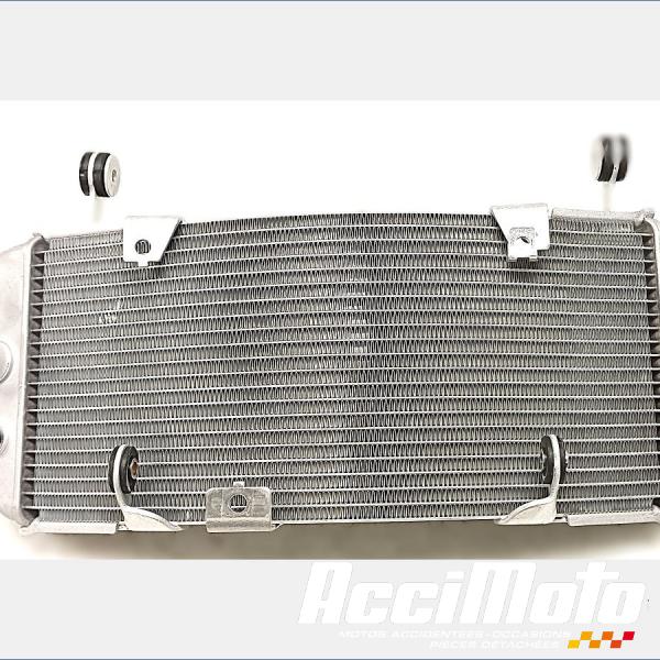Pièce Moto Radiateur de refroidissement YAMAHA TMAX XP560