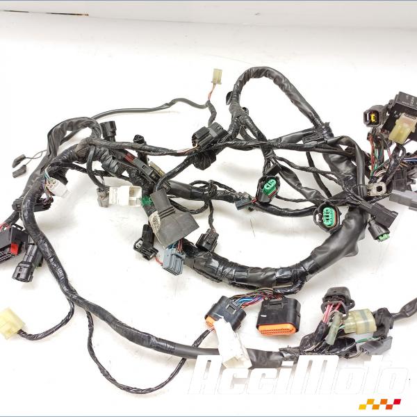 Pièce Moto Faisceau électrique (principal) KAWASAKI ER6 N