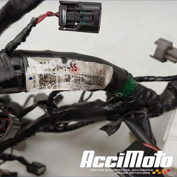 Pièce Moto Faisceau électrique (principal) KAWASAKI ER6 N