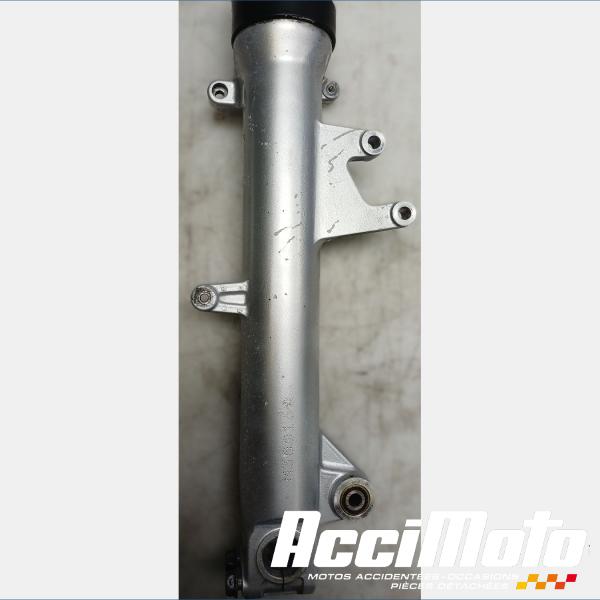 Pièce Moto Fourche complète HONDA CBR1100XX