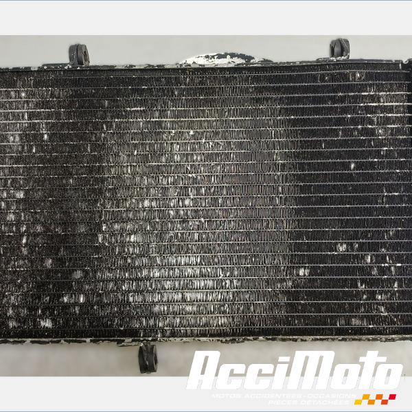 Part Motor bike Radiateur de refroidissement HONDA CBR1100XX