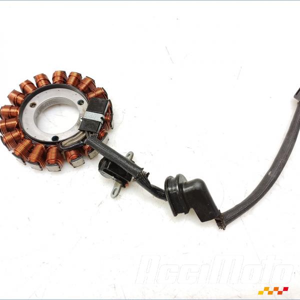 Pièce Moto Stator d'alternateur SUZUKI BANDIT GSF1250N