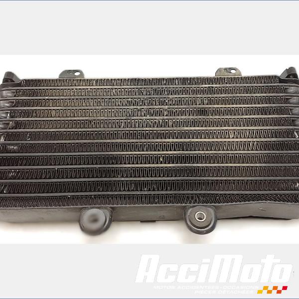 Pièce Moto Radiateur d'huile SUZUKI BANDIT GSF1200S