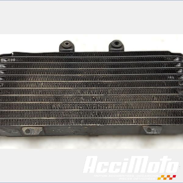 Pièce Moto Radiateur d'huile SUZUKI BANDIT GSF1200S