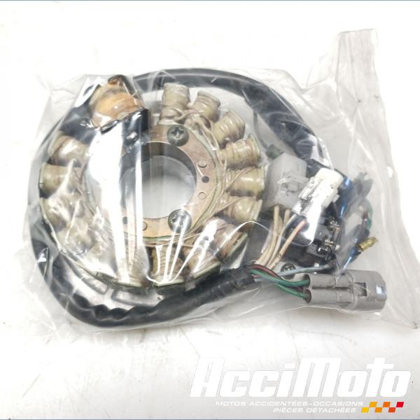 Pièce Moto Stator d'alternateur YAMAHA TDR 125