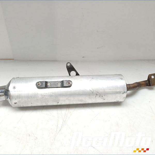 Pièce Moto Silencieux (adaptable) YAMAHA TDR 125