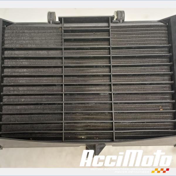 Part Motor bike Radiateur de refroidissement YAMAHA XJ6N