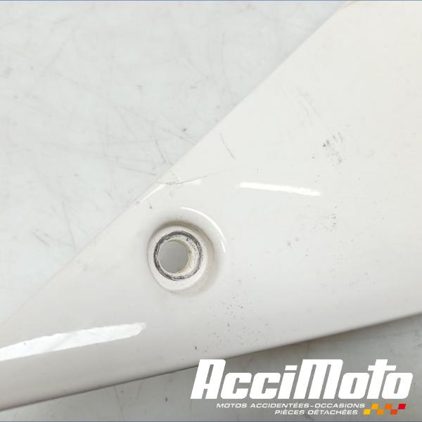 Pièce Moto Coque arrière (gauche) TRIUMPH SPEED TRIPLE 1050 