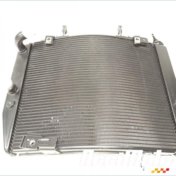 Pièce Moto Radiateur de refroidissement TRIUMPH STREET TRIPLE 765 RS