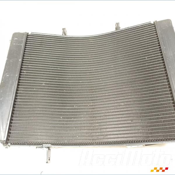Pièce Moto Radiateur de refroidissement TRIUMPH STREET TRIPLE 765 RS