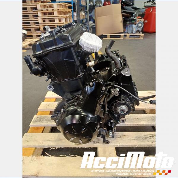 Pièce Moto Moteur KAWASAKI NINJA EX650