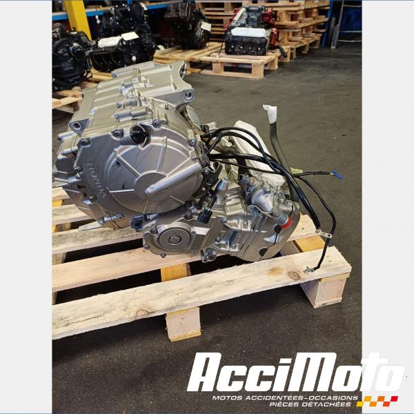 Pièce Moto Moteur HONDA HORNET CB600F