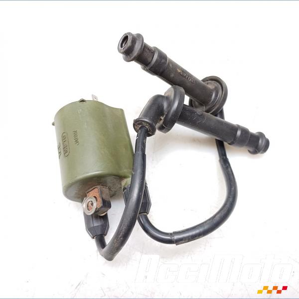 Part Motor bike Bobine d'allumage (1/4) HONDA HORNET CB600F