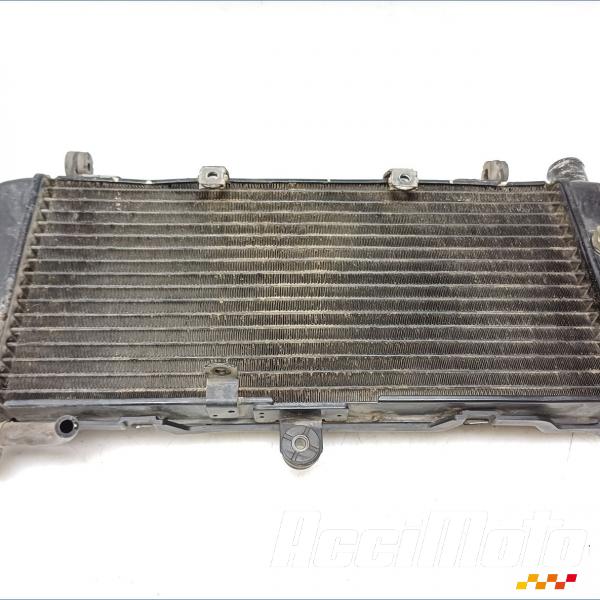 Part Motor bike Radiateur de refroidissement HONDA HORNET CB600F