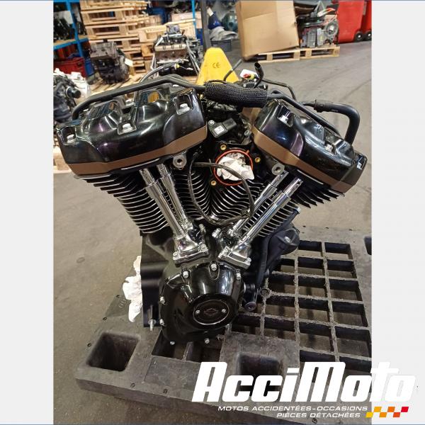 Pièce Moto Moteur HARLEY DAVIDSON ROAD GLIDE FLTRXST