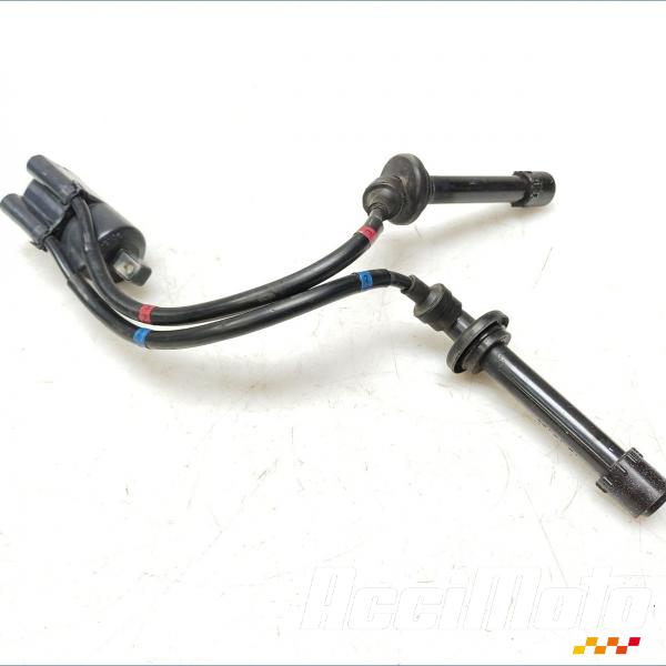 Pièce Moto Bobine d'allumage (2/3) YAMAHA FZ6 S FAZER