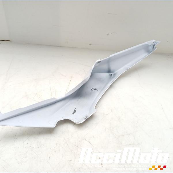 Pièce Moto Coque arrière (droite) KAWASAKI Z 650