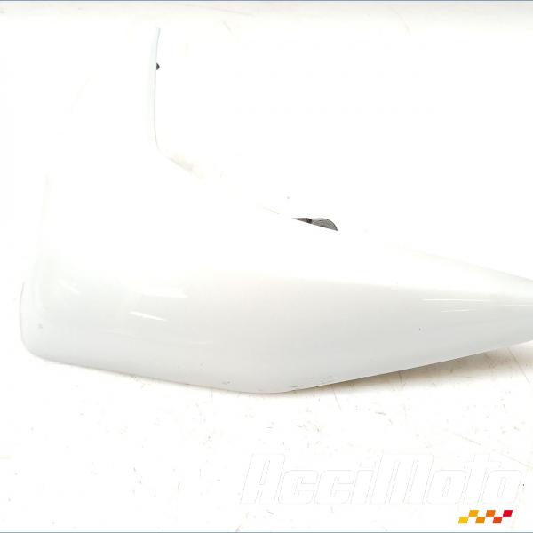 Pièce Moto écope de radiateur (gauche) KAWASAKI Z 750