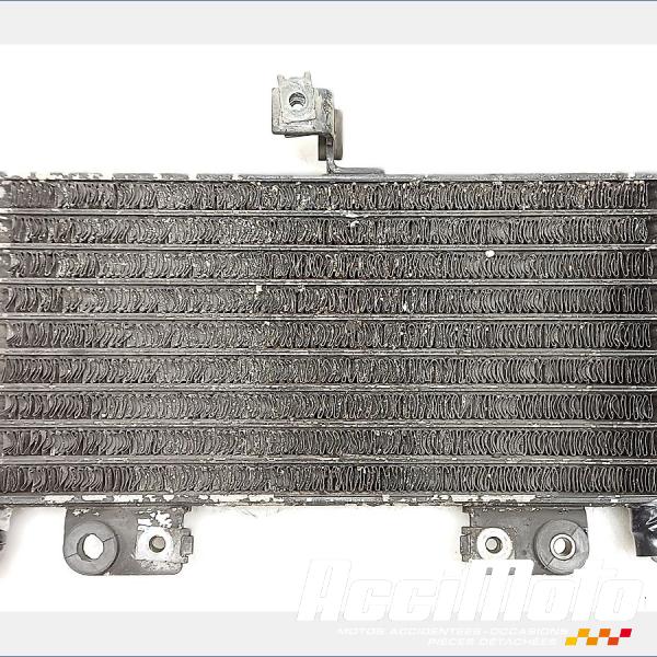 Pièce Moto Radiateur d'huile SUZUKI GSXR 1300 HAYABUSA 