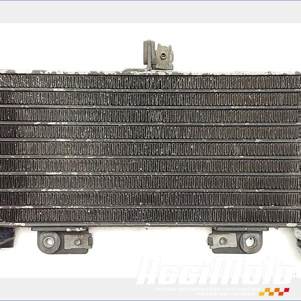 Pièce Moto Radiateur d'huile SUZUKI GSXR 1300 HAYABUSA 
