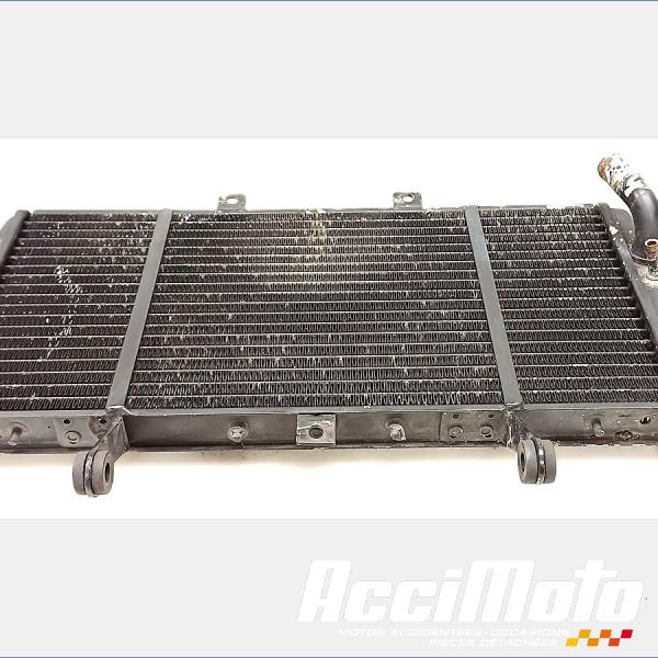 Pièce Moto Radiateur de refroidissement TRIUMPH SPRINT 955I RS