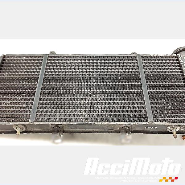 Pièce Moto Radiateur de refroidissement TRIUMPH SPRINT 955I RS